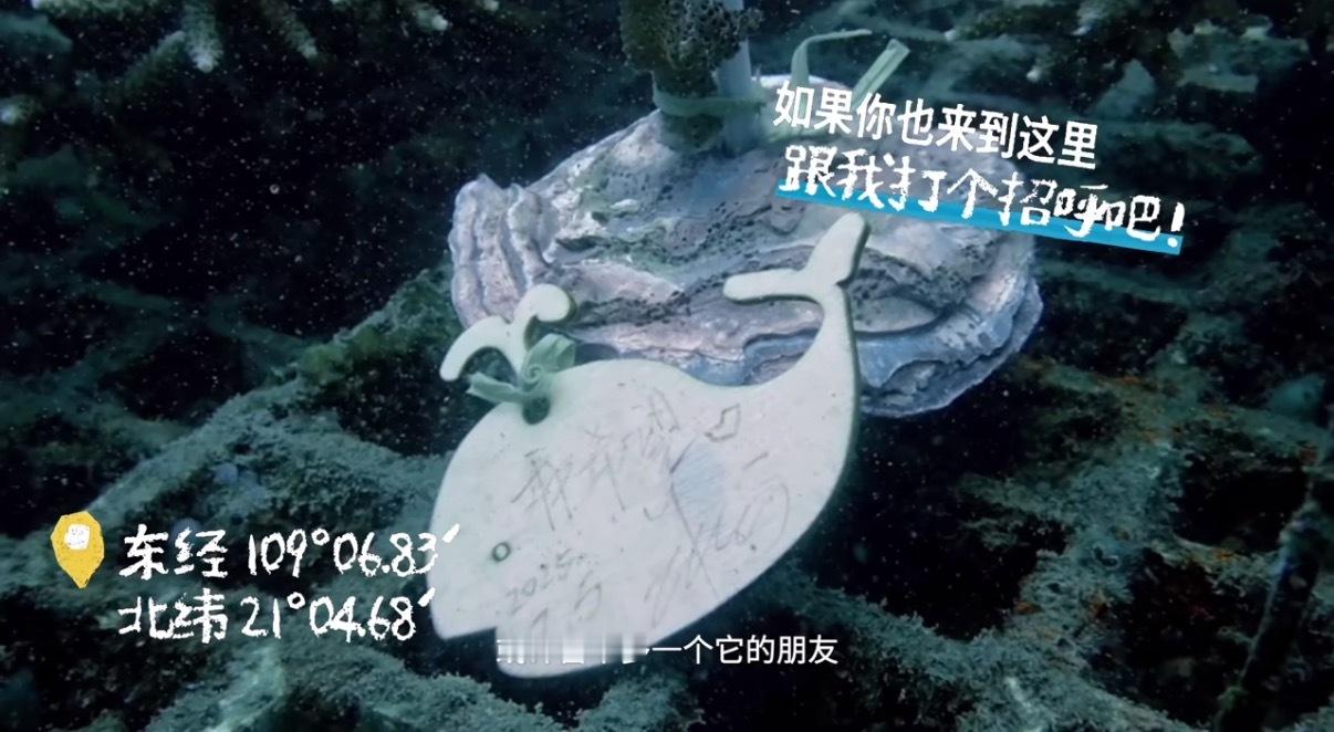 朱一龙亲签[捂嘴哭][捂嘴哭][捂嘴哭]走，去捞（bushi）打个招呼 ​​​