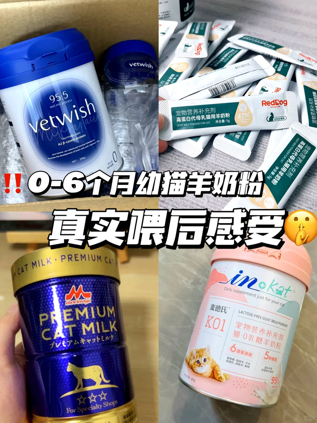 0-6月幼猫羊奶粉测评 |超真实喂后感受