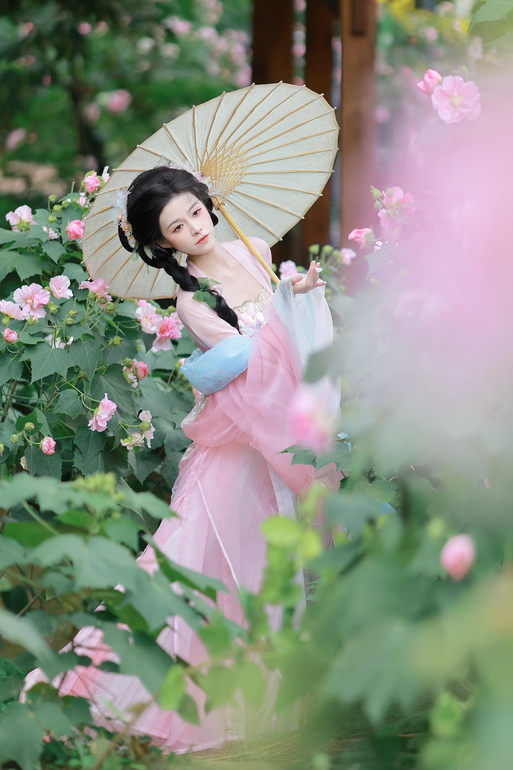 花重锦官城🌺。成都芙蓉花开啦 客片