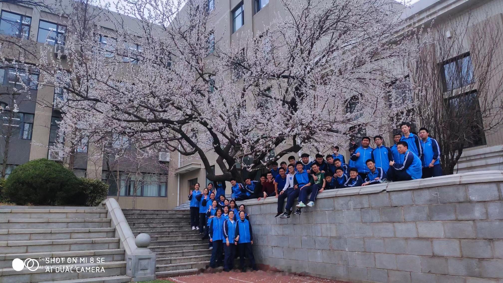 那曾经走过树下的少年，已走向四面八方网页链接