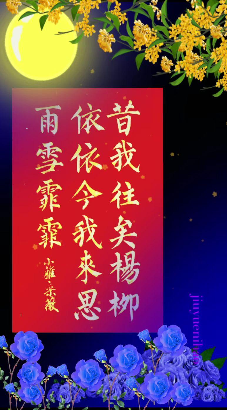 抄写诗经《小雅·采薇》选节：昔我往矣，杨柳依依。今我来思，雨雪霏霏。读读诗经，让