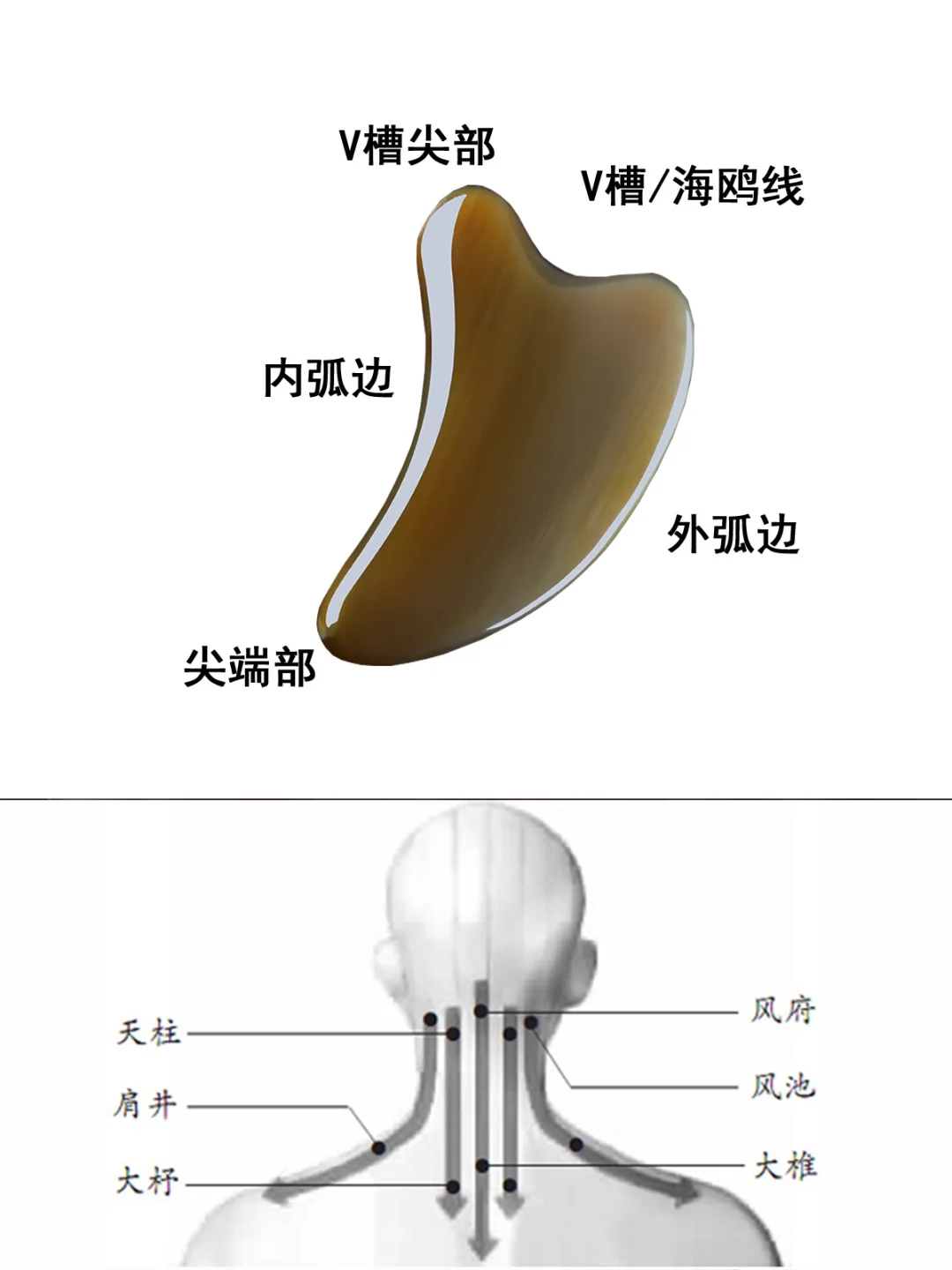 40+美容㊙️籍，面部刮痧板正确使用教程