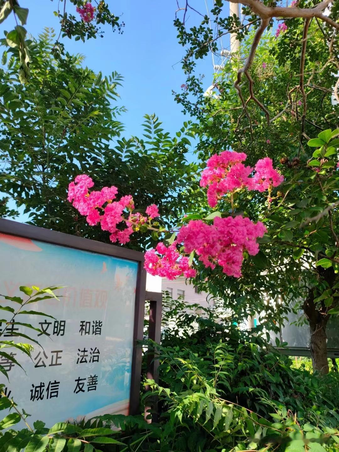 你问我答国足又输足球5个巴勒斯坦，这样子不行，得改革，选人前搞国内精英对抗赛/选