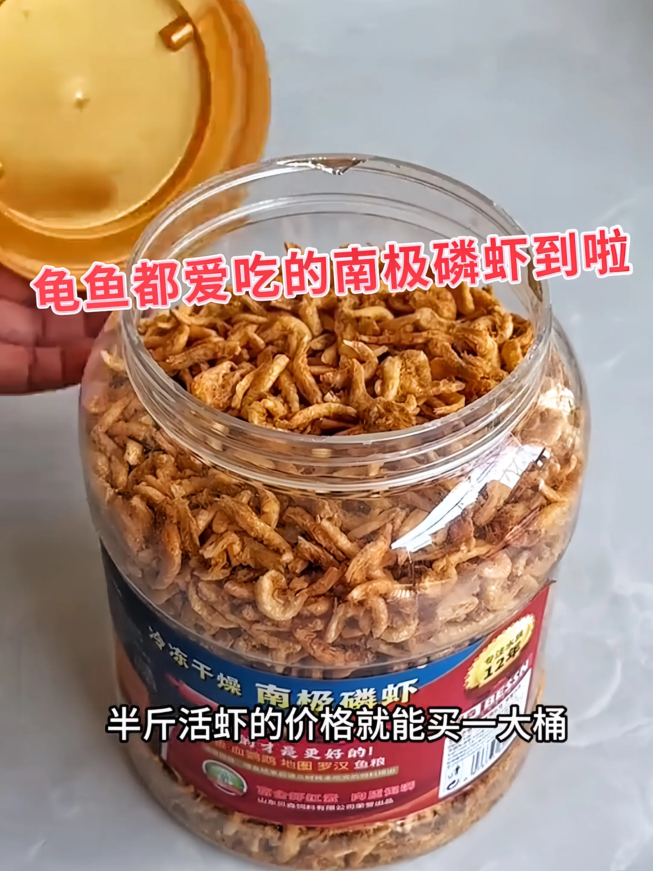 1. 一口来自南极的鲜！这款鱼粮以纯净南极磷虾为核心，富含虾青素与优质...
