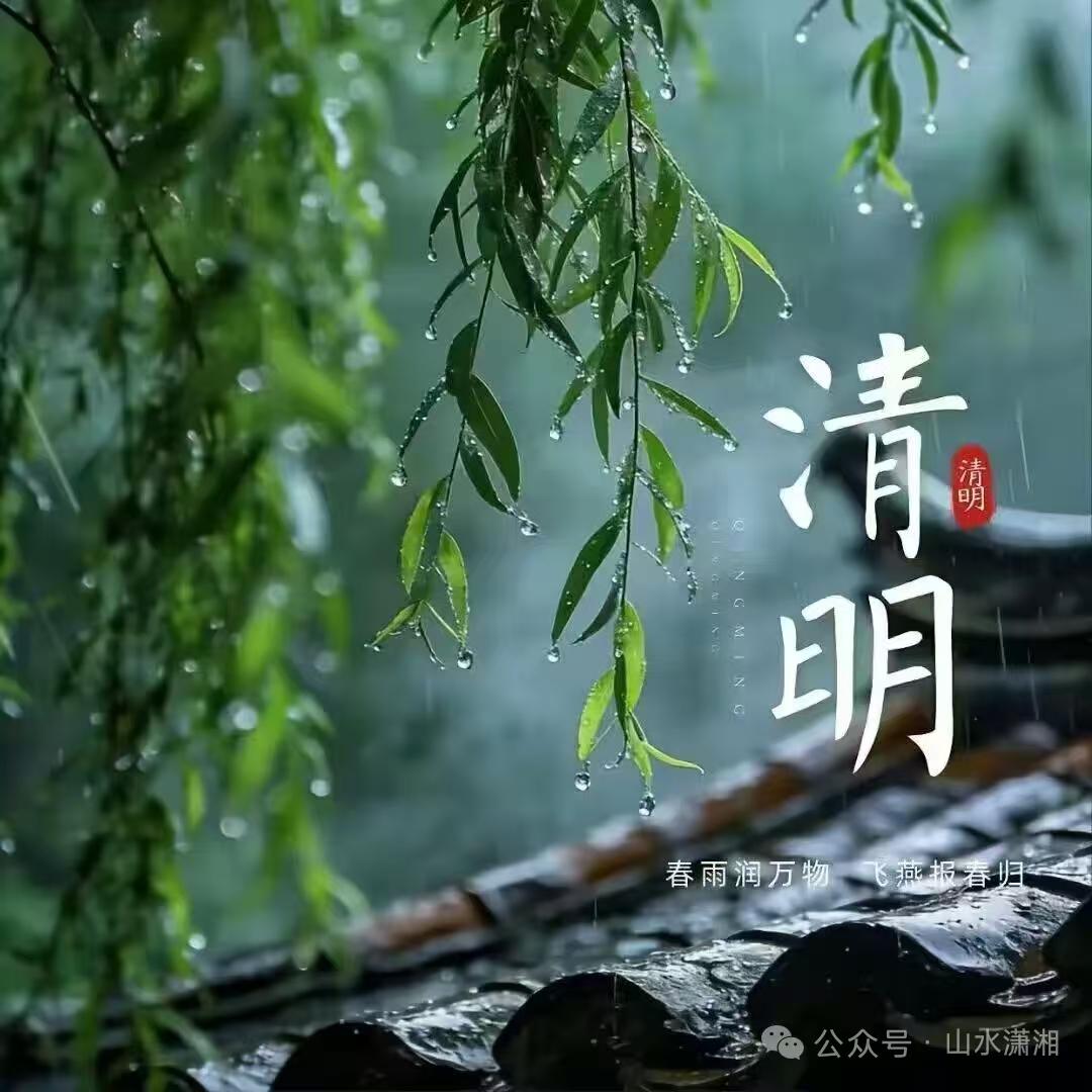 清明寄哀思
春风拂面柳含烟，
野径人稀下雨天。
遥望双亲皆土墓，
凄凄肃穆忆当年