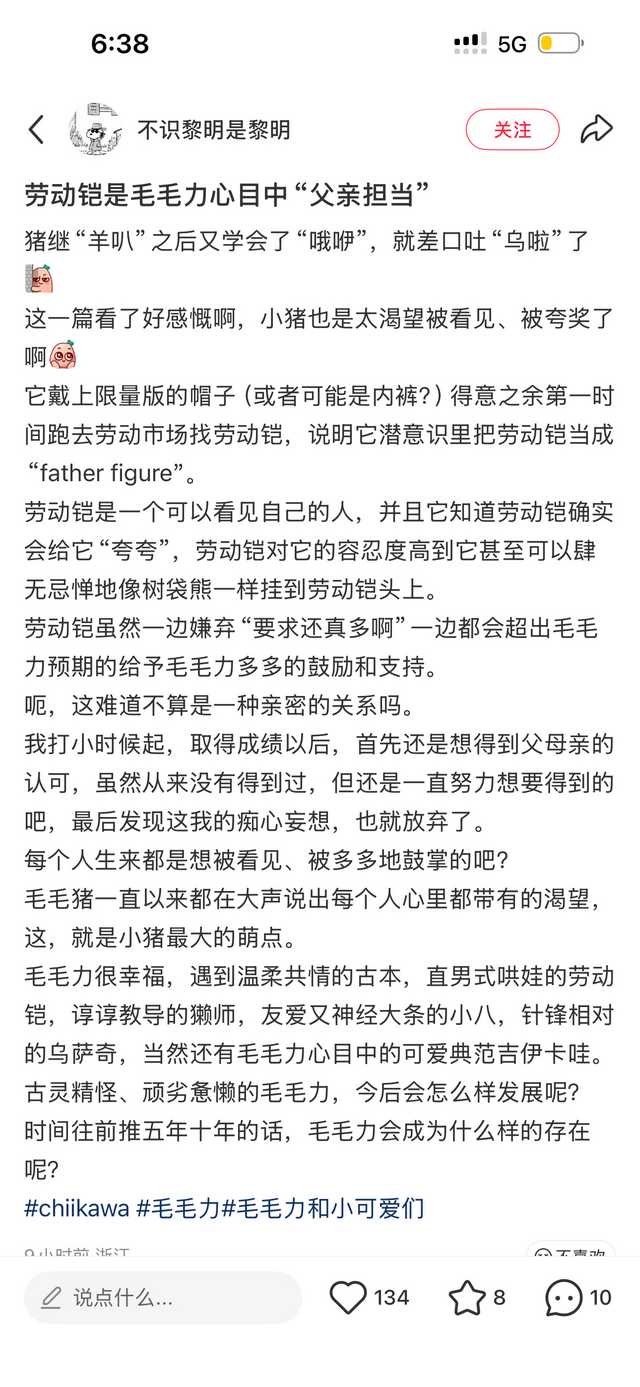 xhs的一个老师关于毛毛力和劳动铠的解读很有意思，分享给数码们看看（因为老师同意