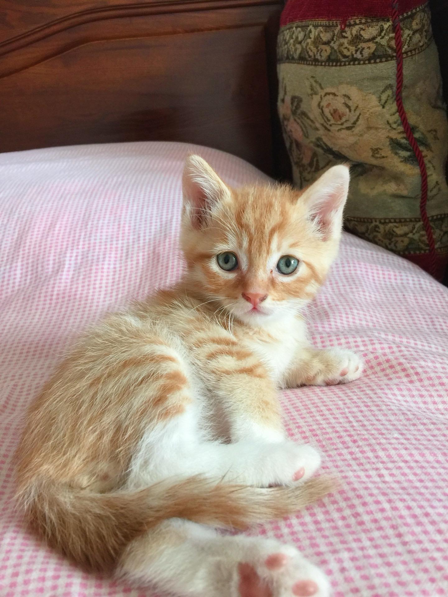 小小少年没有烦恼。