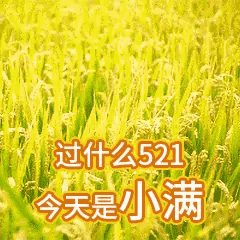 兄弟们早安今天是小满，也是5.21，那就祝大家耕耘与爱，都不被辜负。愿我们每个人