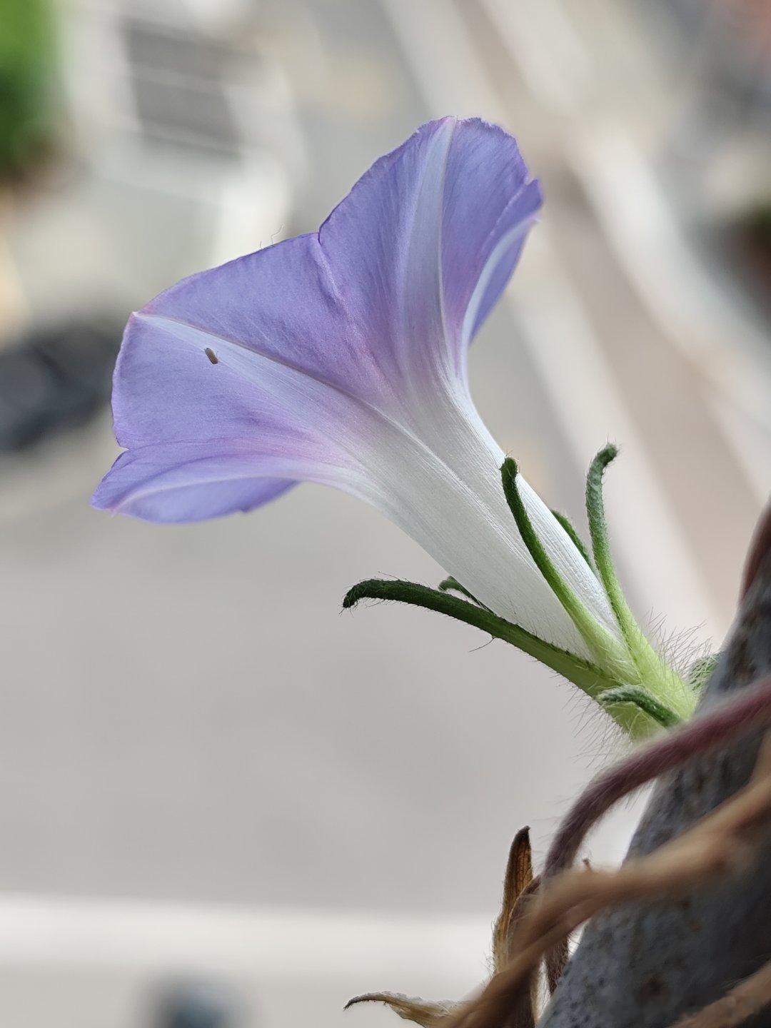 告别夏天 ​​​