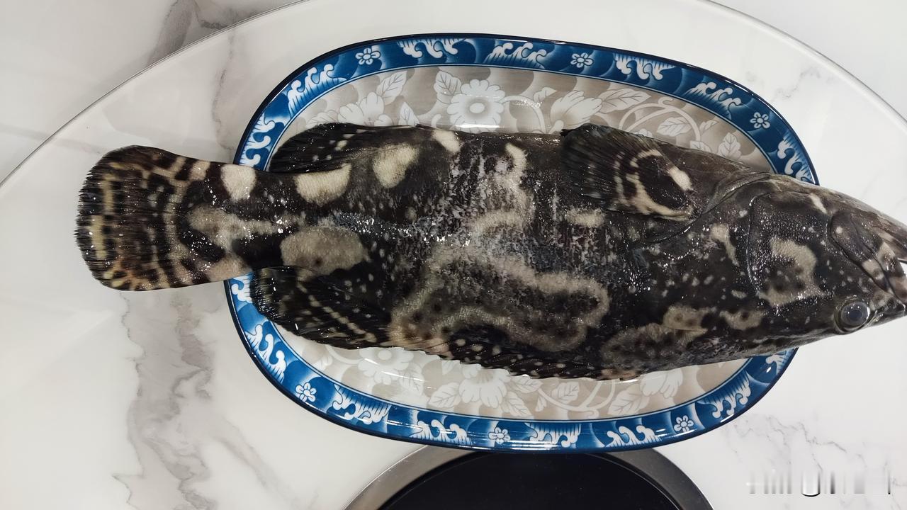 推开2026年的门扉，一场盛宴中，一条香气四溢的鱼跃入我的食谱。
一条科学的食物