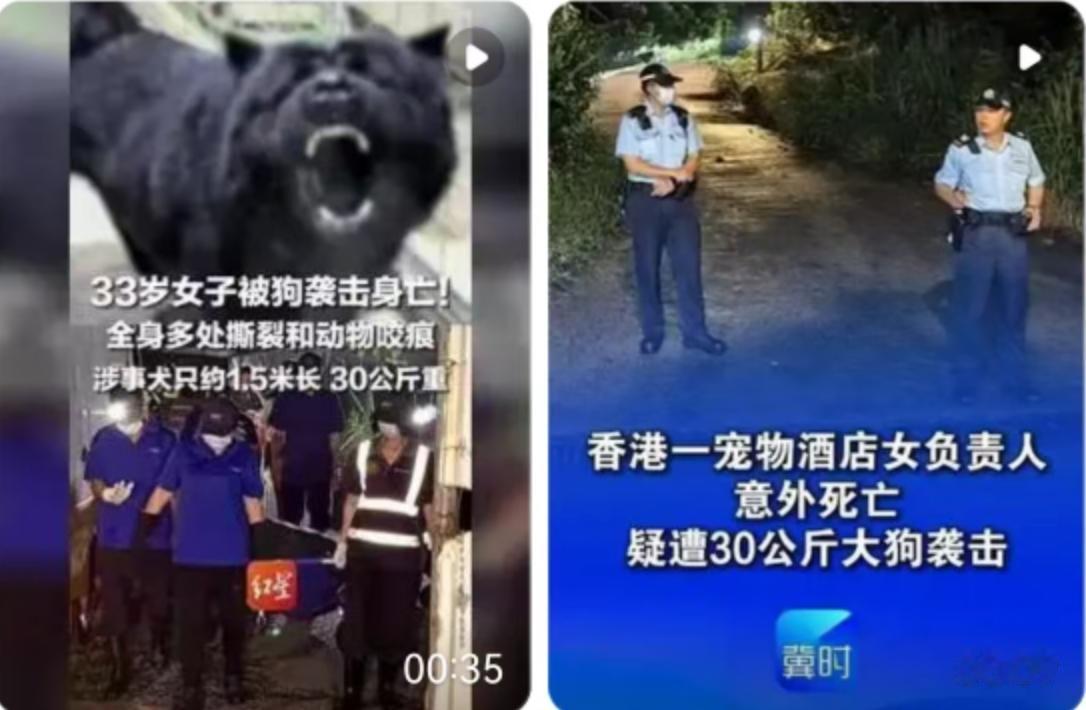 33岁，正是人生最好的年纪，却在香港打鼓岭坪洋的一间宠物酒店里，倒在了喂食后的片