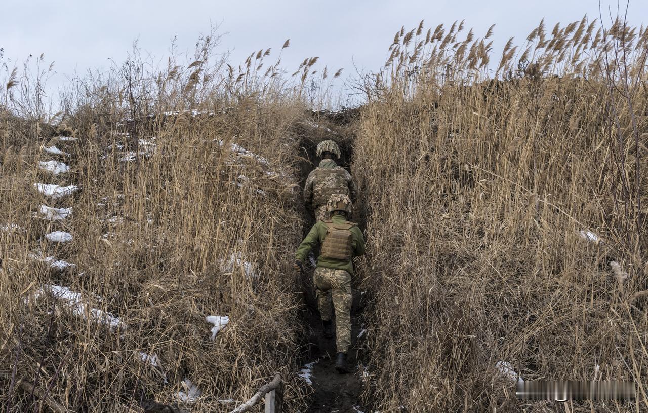 俄军在科列涅沃方向，发现被打死的9名乌军，其中一人还穿着俄罗斯军人的外套，其他物