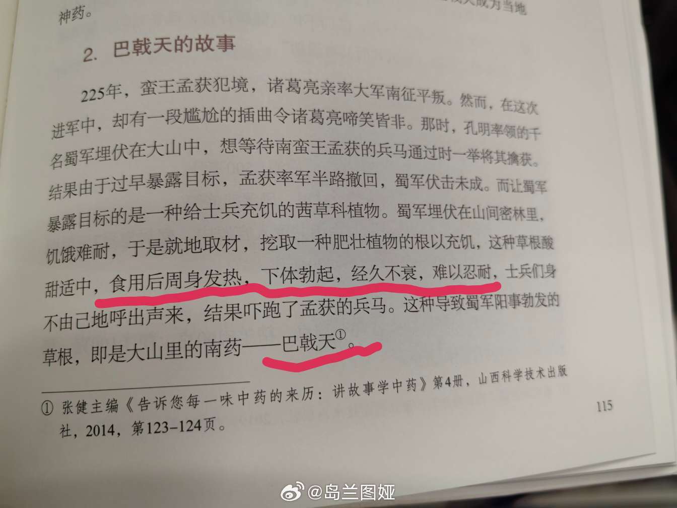 这种导致蜀军阳事草根，即是大山里的南药---巴鸡舔 