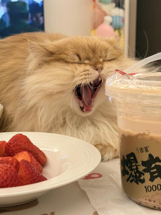 啊！！你要对我的奶茶干森莫！！！