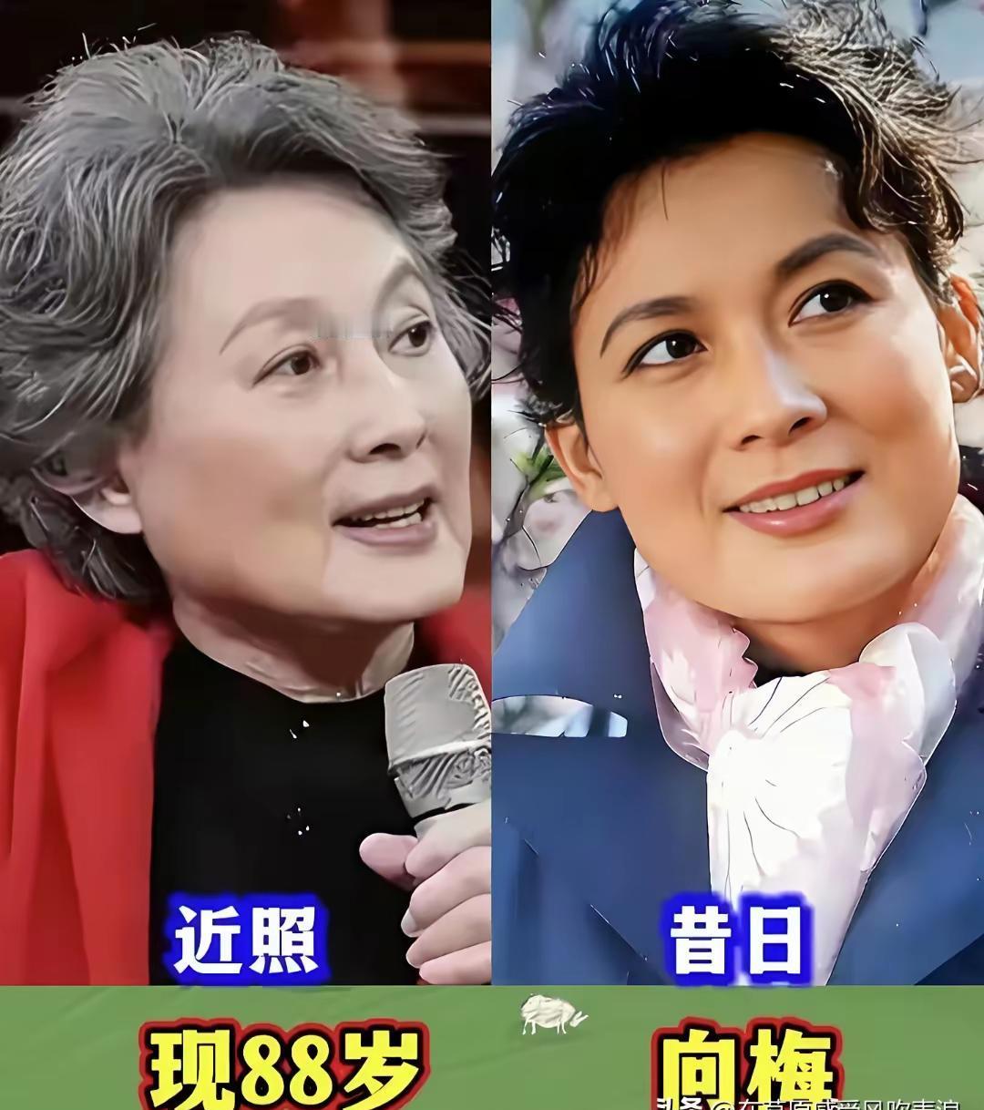 红颜薄命是个伪命题。
秦怡用一百年，亲手砸碎了它。
你翻到的那些老照片，剑眉星目