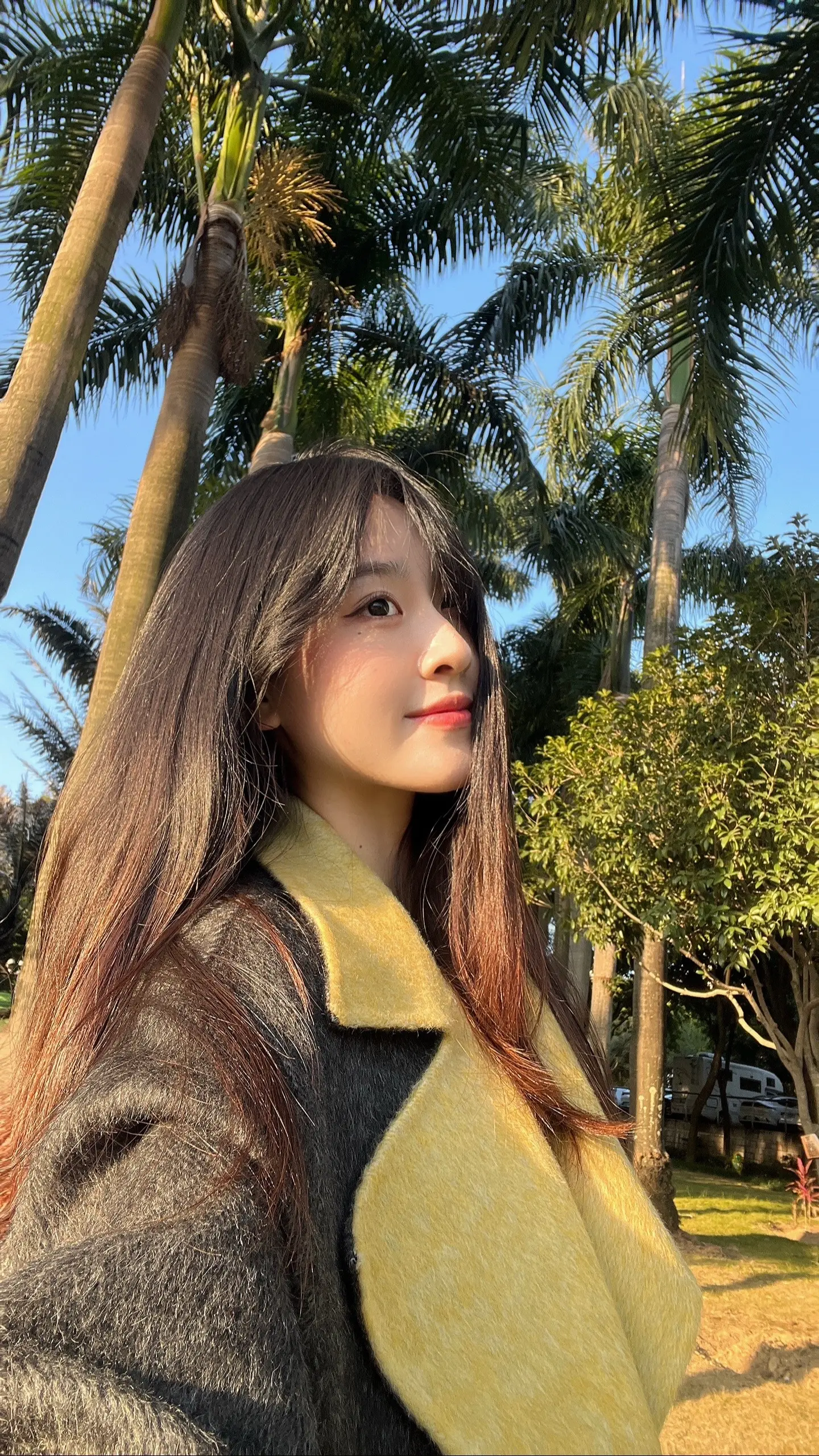 镜头邂逅阳光折射幸福
