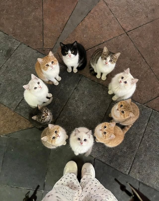 ⠀ 