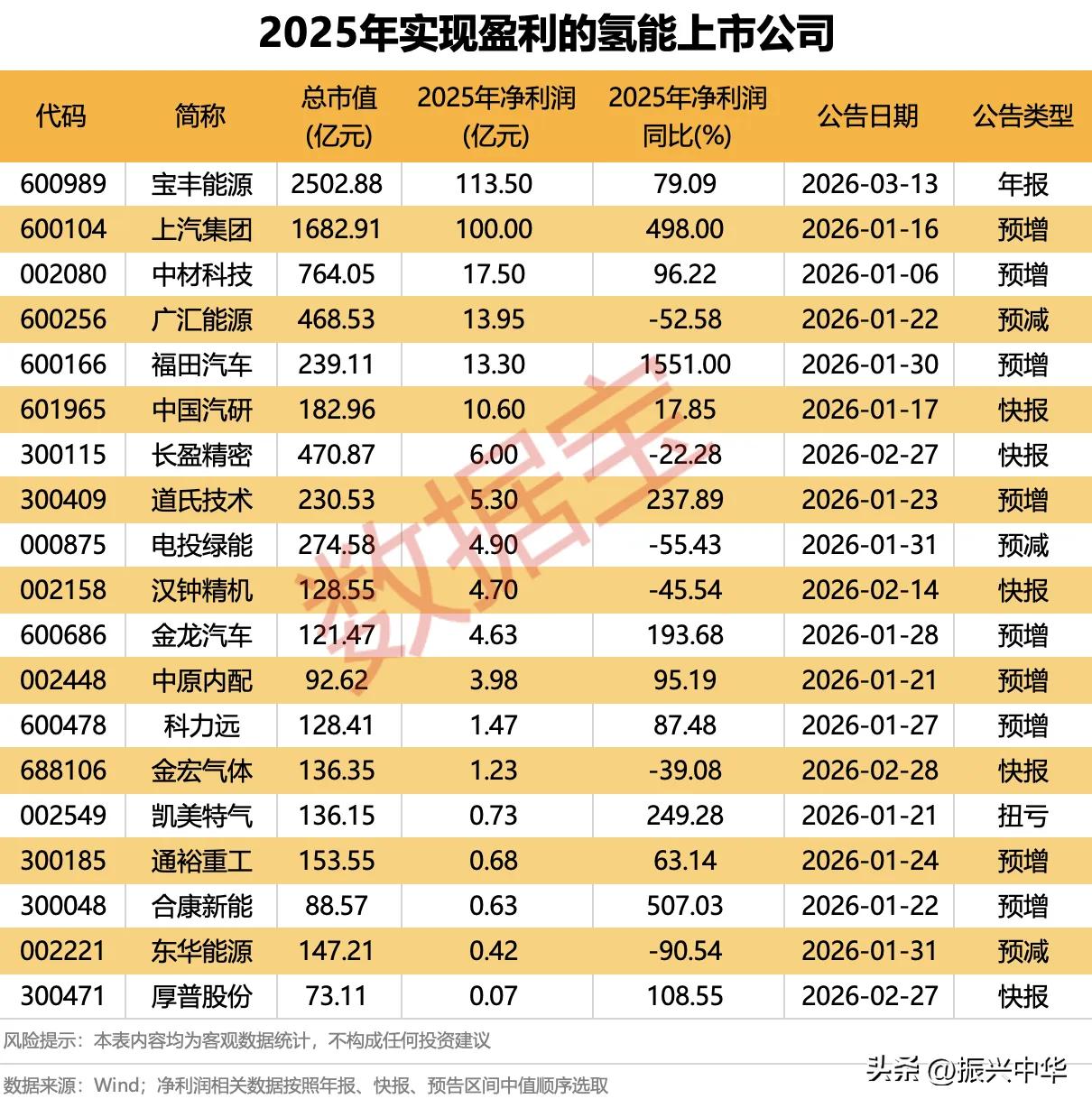 2025年实现盈利的氢能概念股！