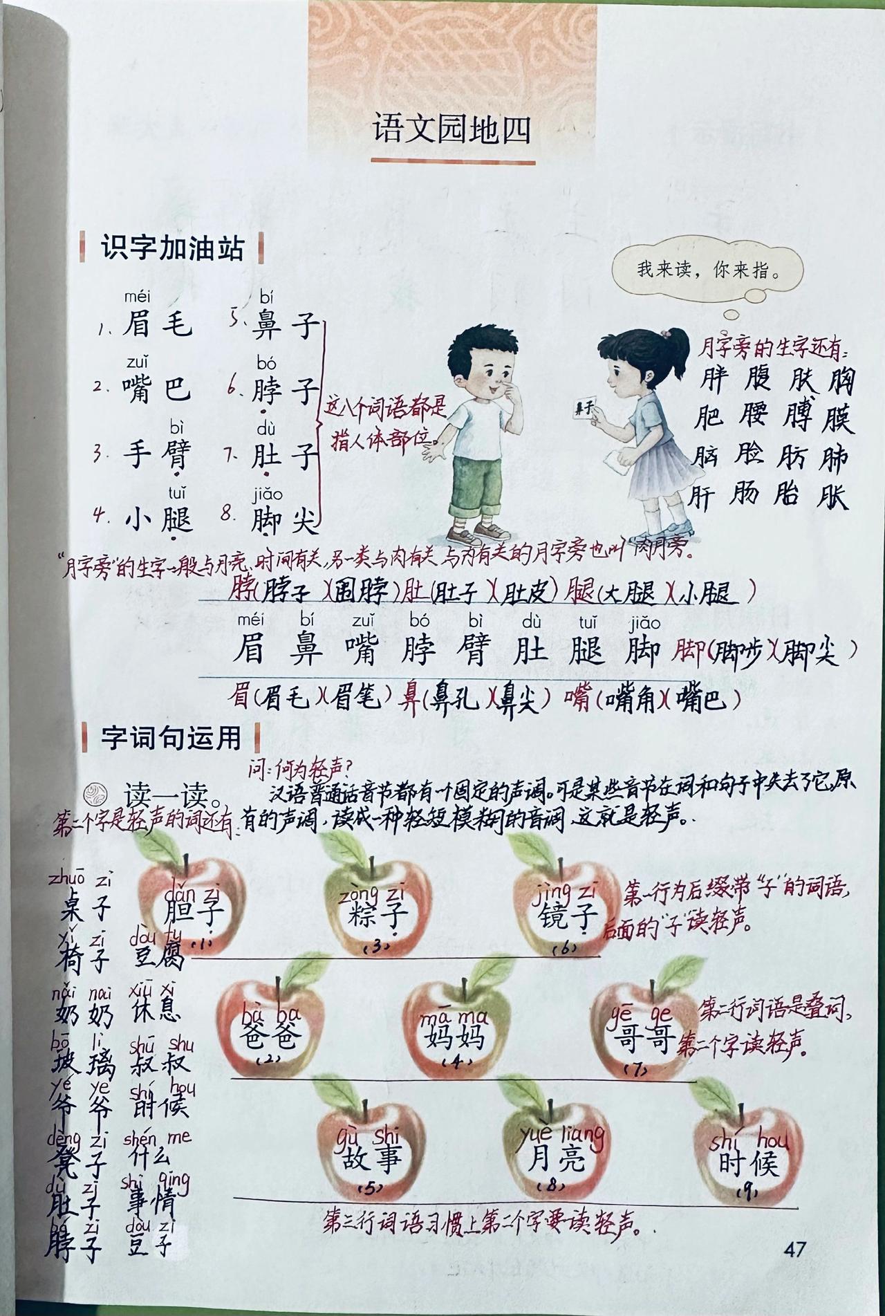 一下语文园地四：课堂笔记（全）