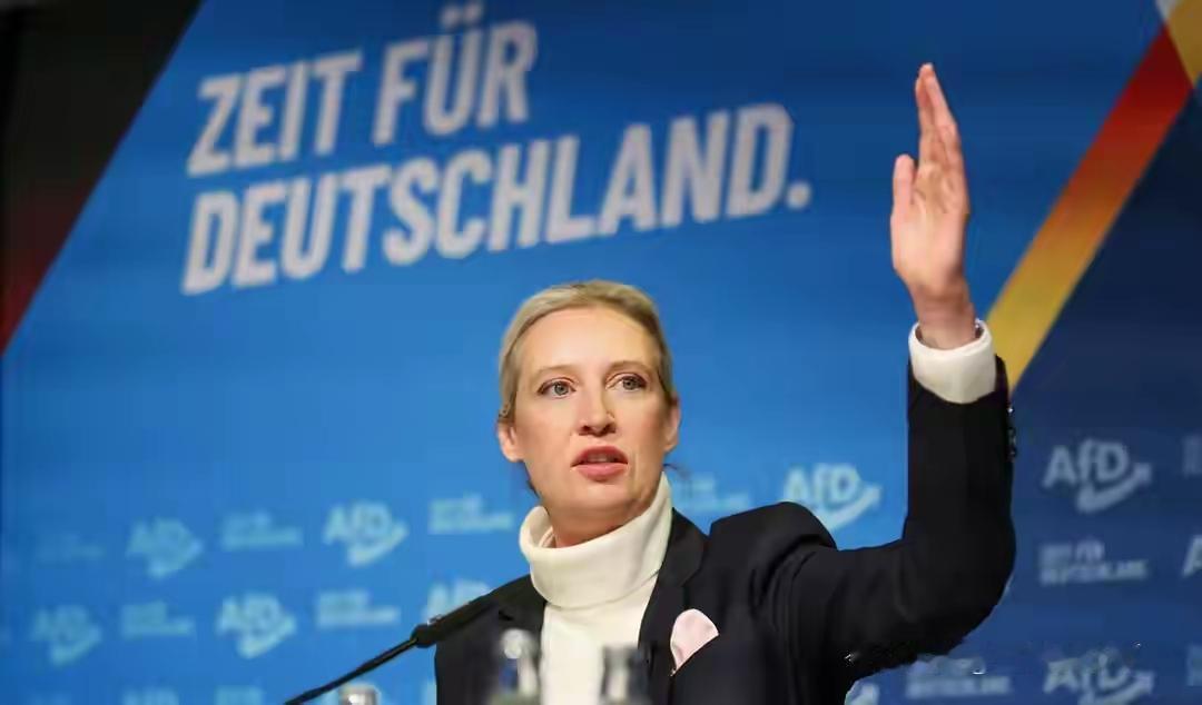 德国选择党主席魏德尔公开要求政府停止资助乌克兰政权。她明确表态，德国不应该再继续