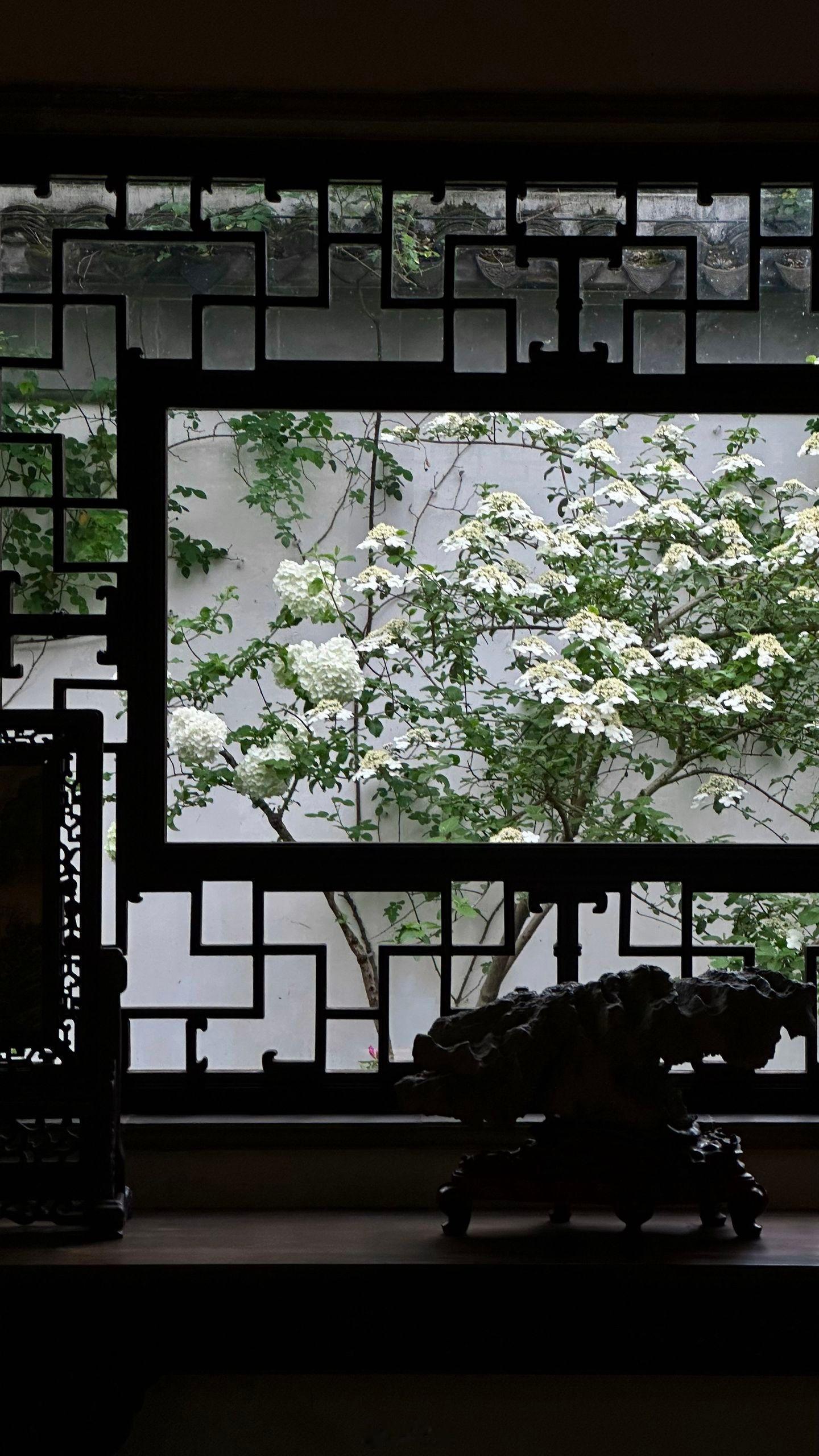 小菌 早安朋友们说绿就绿。乃至无视于春风之归与不归。 