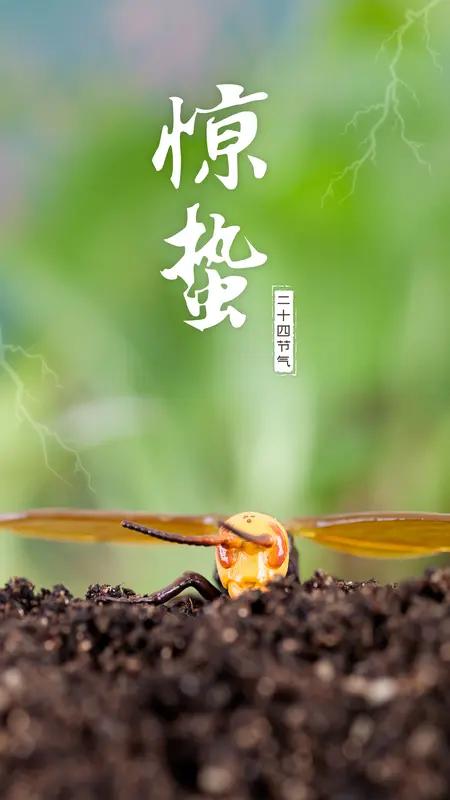 今日惊蛰，春气萌动，大自然重新焕发生机。惊蛰又名“启蛰”，本意是惊醒地下越冬的蛰