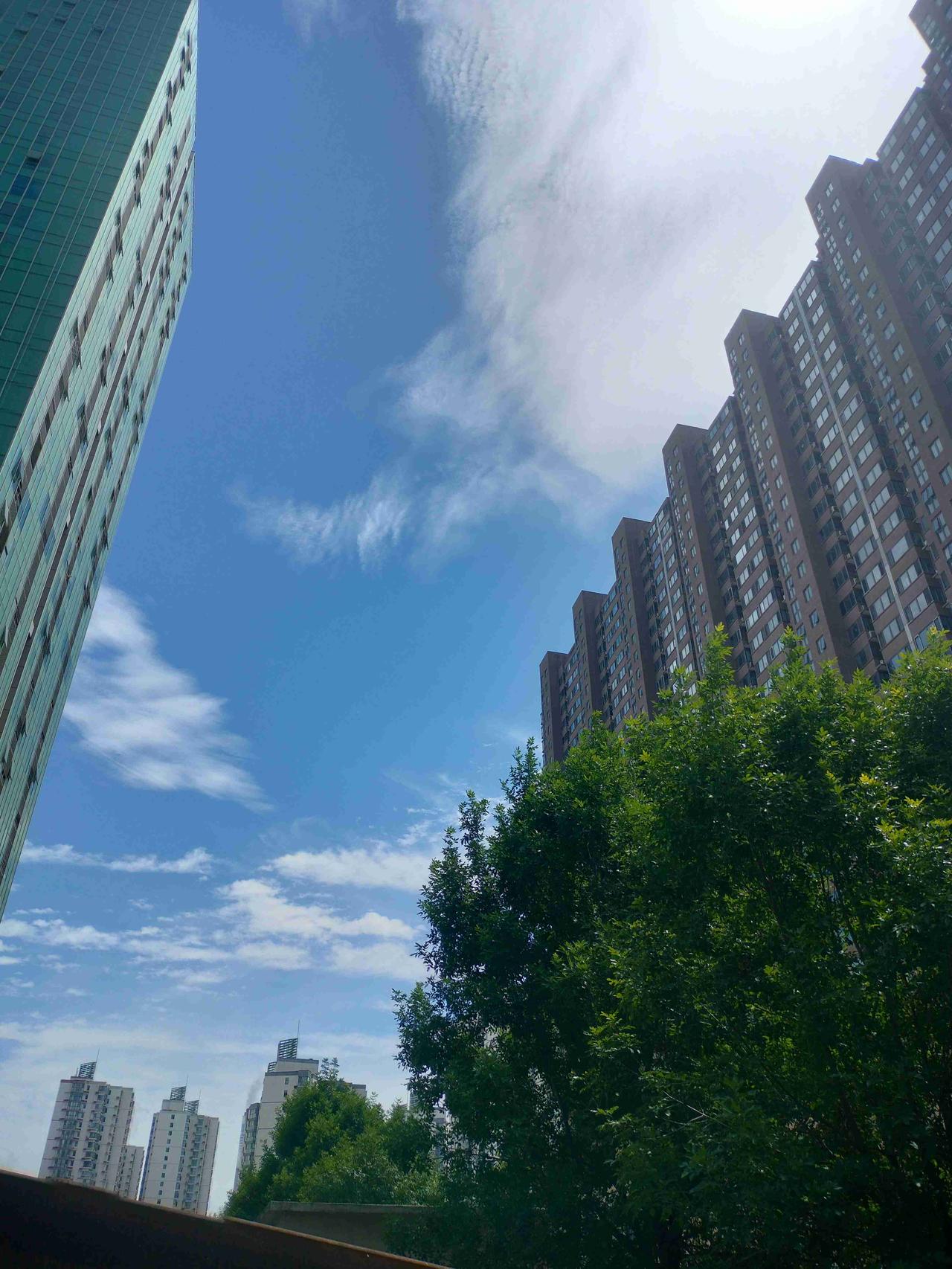 我的今日状态：💰期待暴富
我这里的天气：☀️晴天