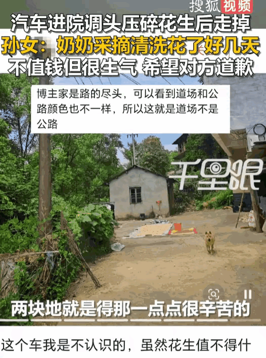 “真的是丢人丢到家了”，

私家车擅自闯进农户自家院坝掉头，直接把老人辛苦大半年