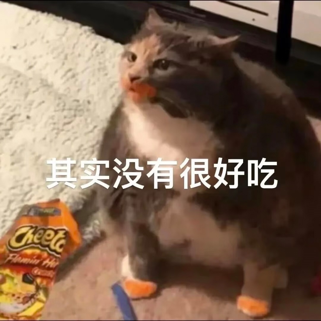 小猫表情包 
