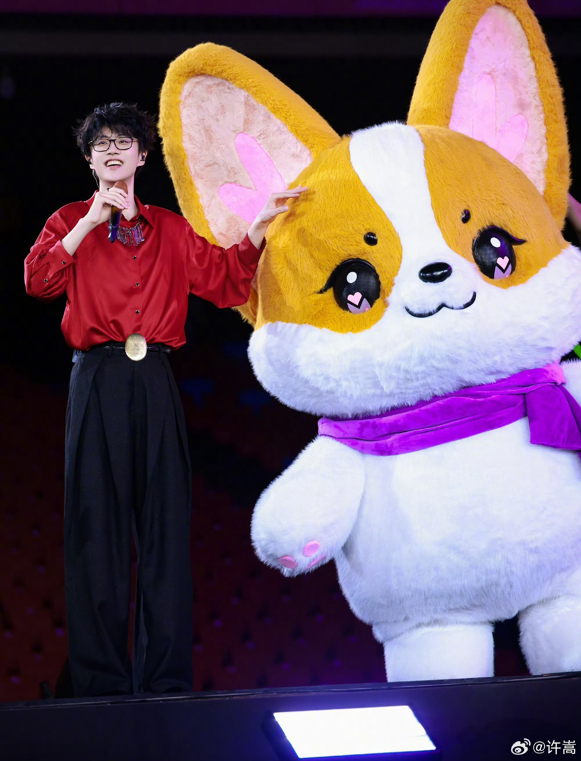 许嵩演唱会彩带竟然有小狗 许嵩的彩带真的好用心啊，一眼望去好多类型！竟然还有格洛