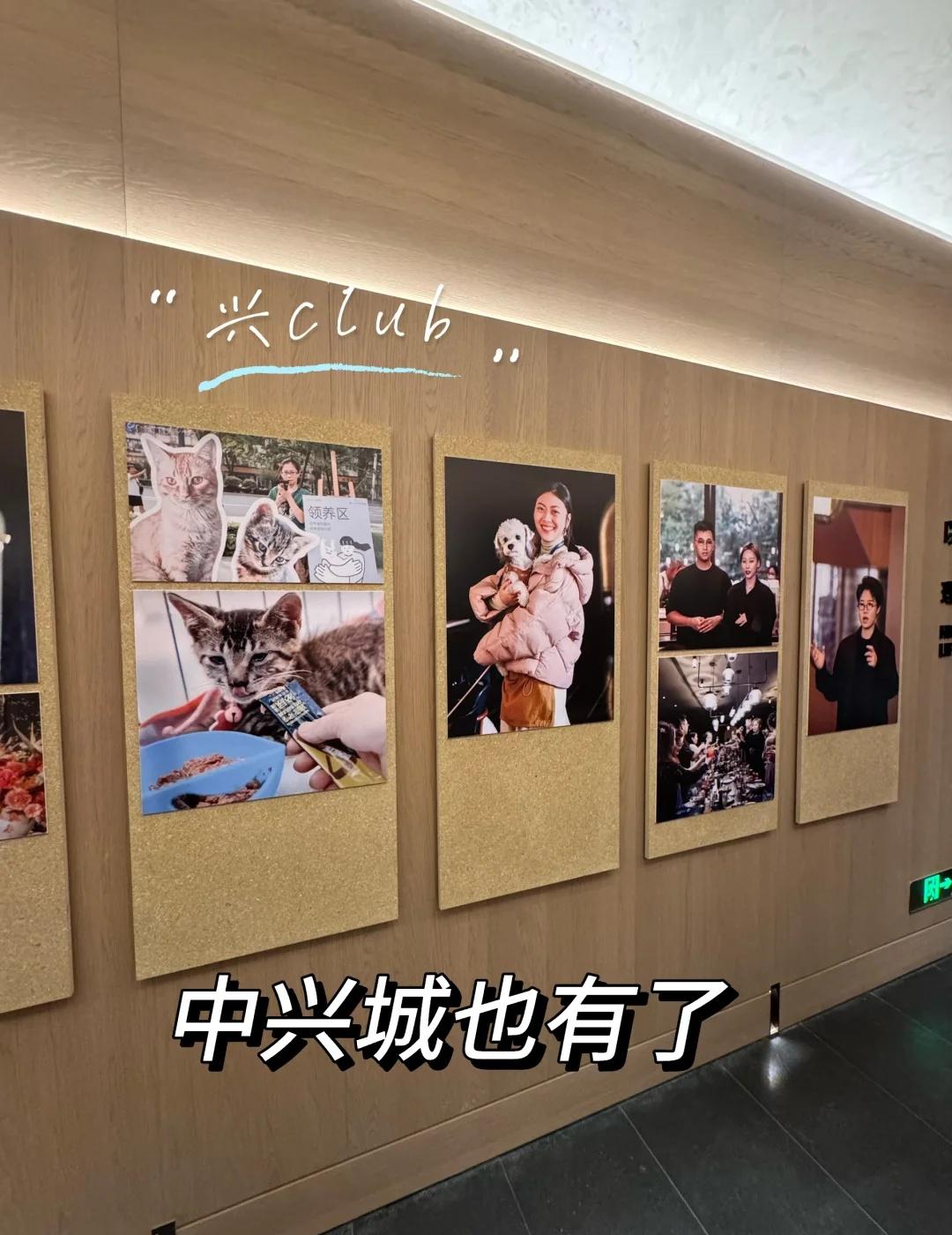 中兴城也有社群了-兴club
社群是国际艺术先锋住区的重要组成部分，
4 年的时