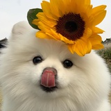 乖憨爱聊美女