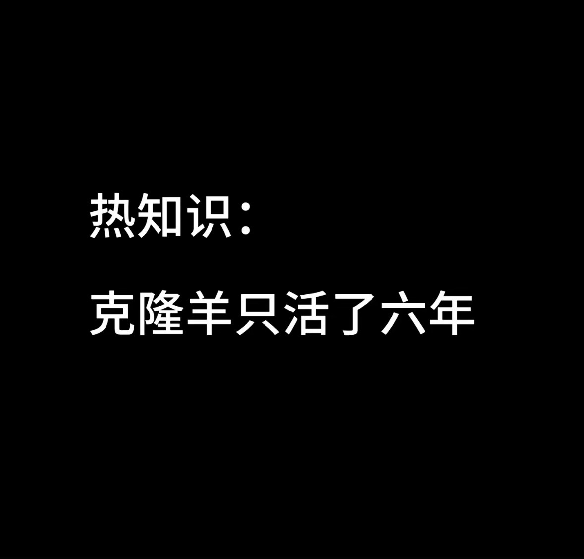 我懂你多莉  这是内娱标杆 