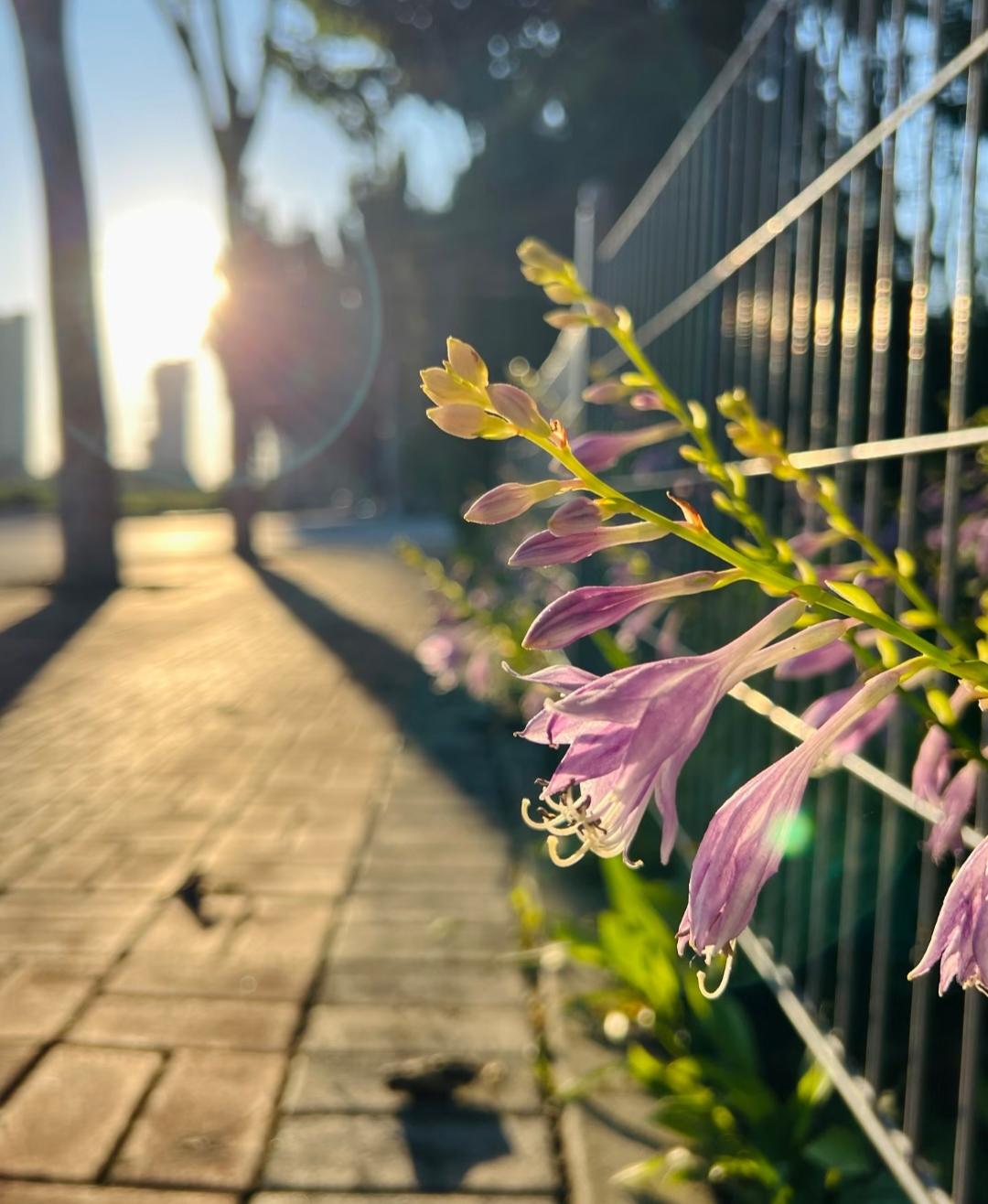 人到中年，失业又欠了外债
于是开始疯狂的写作
 
常听评论区经常有人说:“天天在