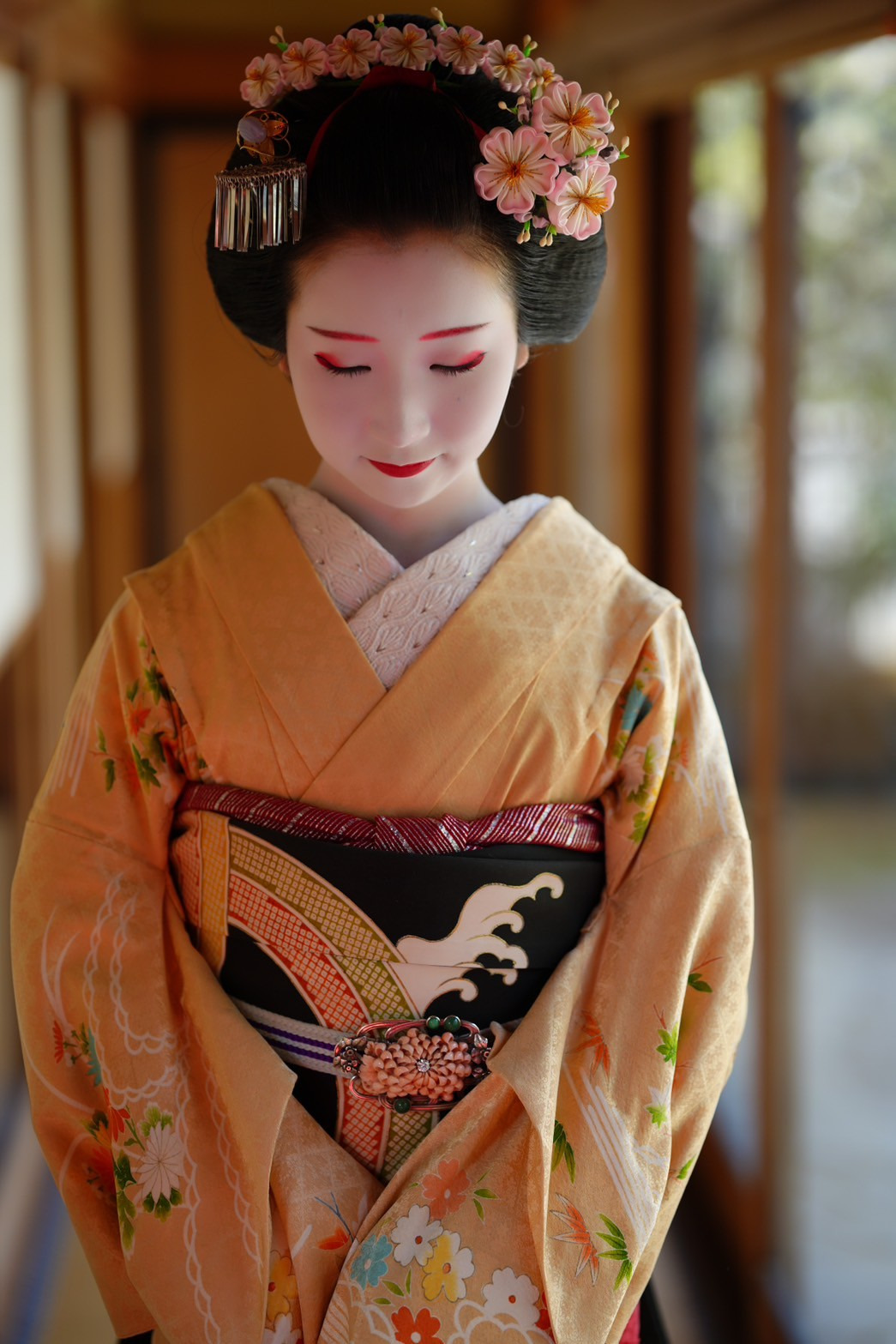 舞妓和艺妓的区别   舞妓是没有工资的，在屋形里免费住，从和服到艺能（比如三味线