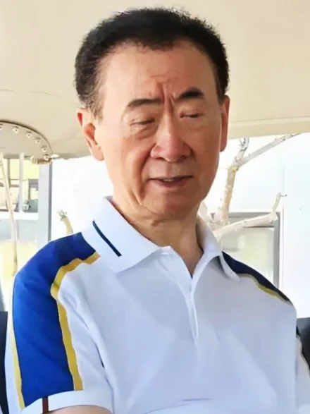 王健林还有多少钱