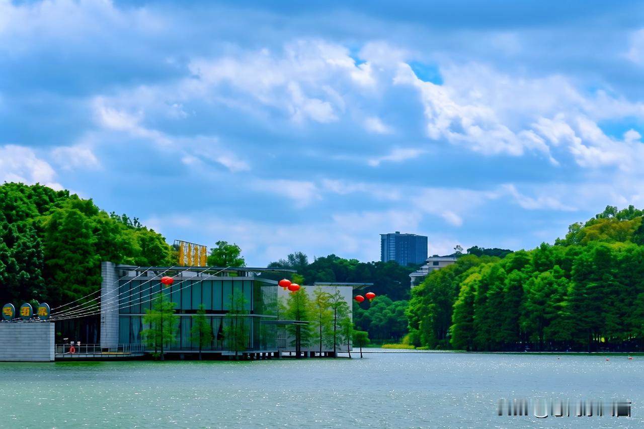 麓湖夏日荷景
清晨奔赴广州麓湖寻荷，沿路满目青翠，林间步道竹影婆娑，游人或骑行或