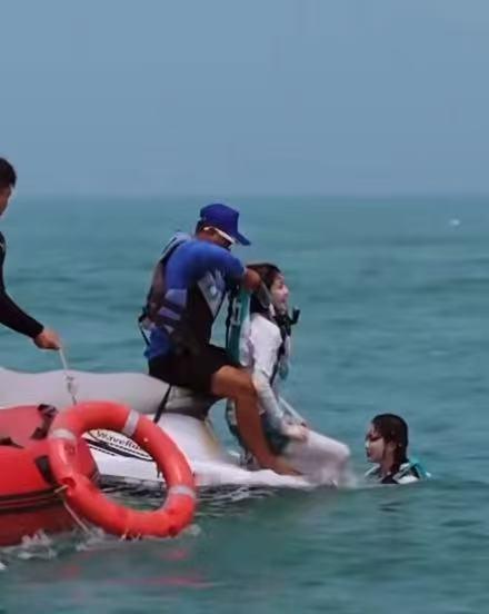 白鹿被从海里拎起来白鹿水灵灵地被从海里拎起来了！白鹿水灵灵地被从海里拎起来白鹿奔