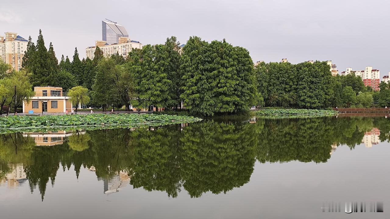 晒图笔记大赛湖水如镜映自然