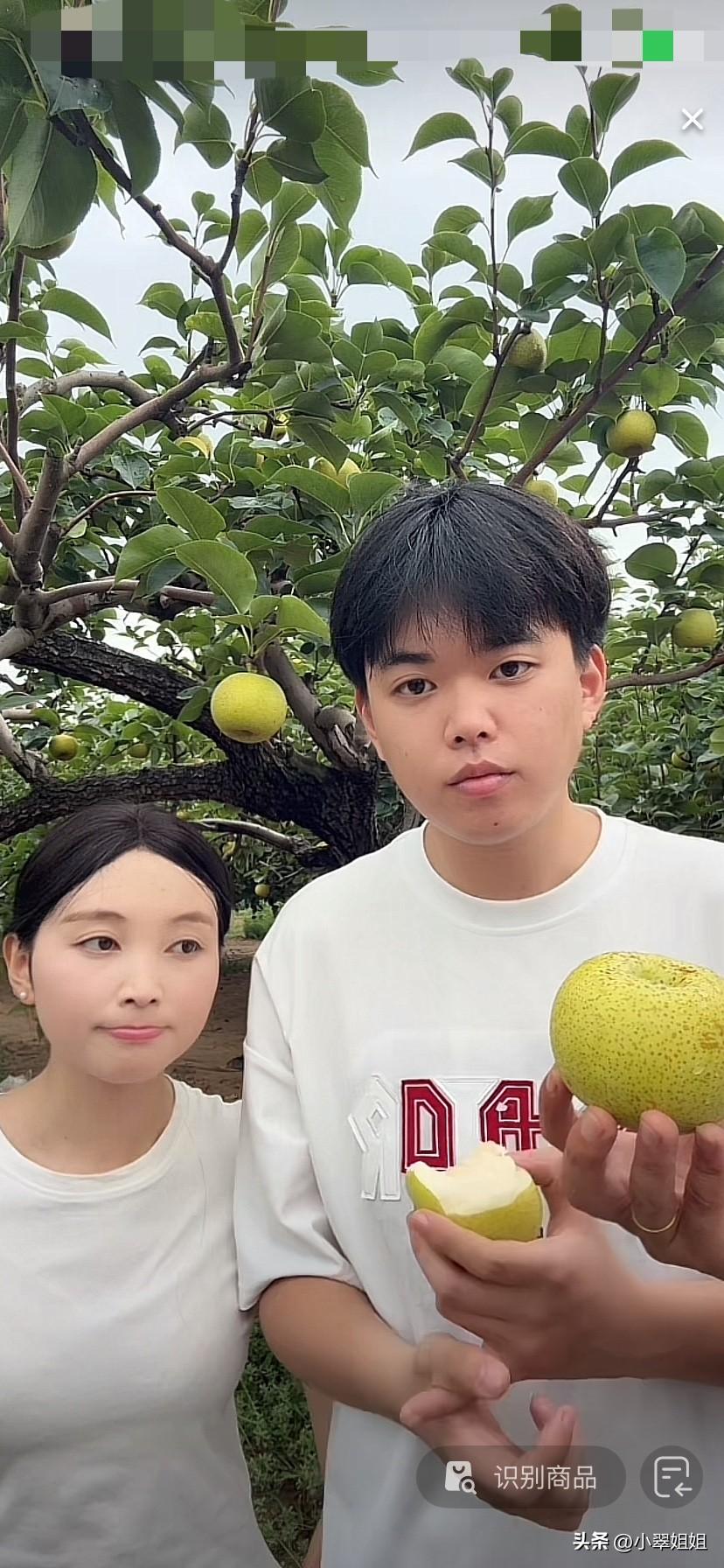 今天一大早，厉怀远就带着金牌和金牌女友一起直播卖梨了！直播间人气很高！观看人数达