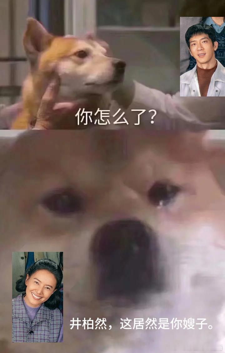 井柏然高圆圆不演cp演叔嫂打破大众对两人搭档演恋人的预想，剧中二人是温柔大嫂与踏