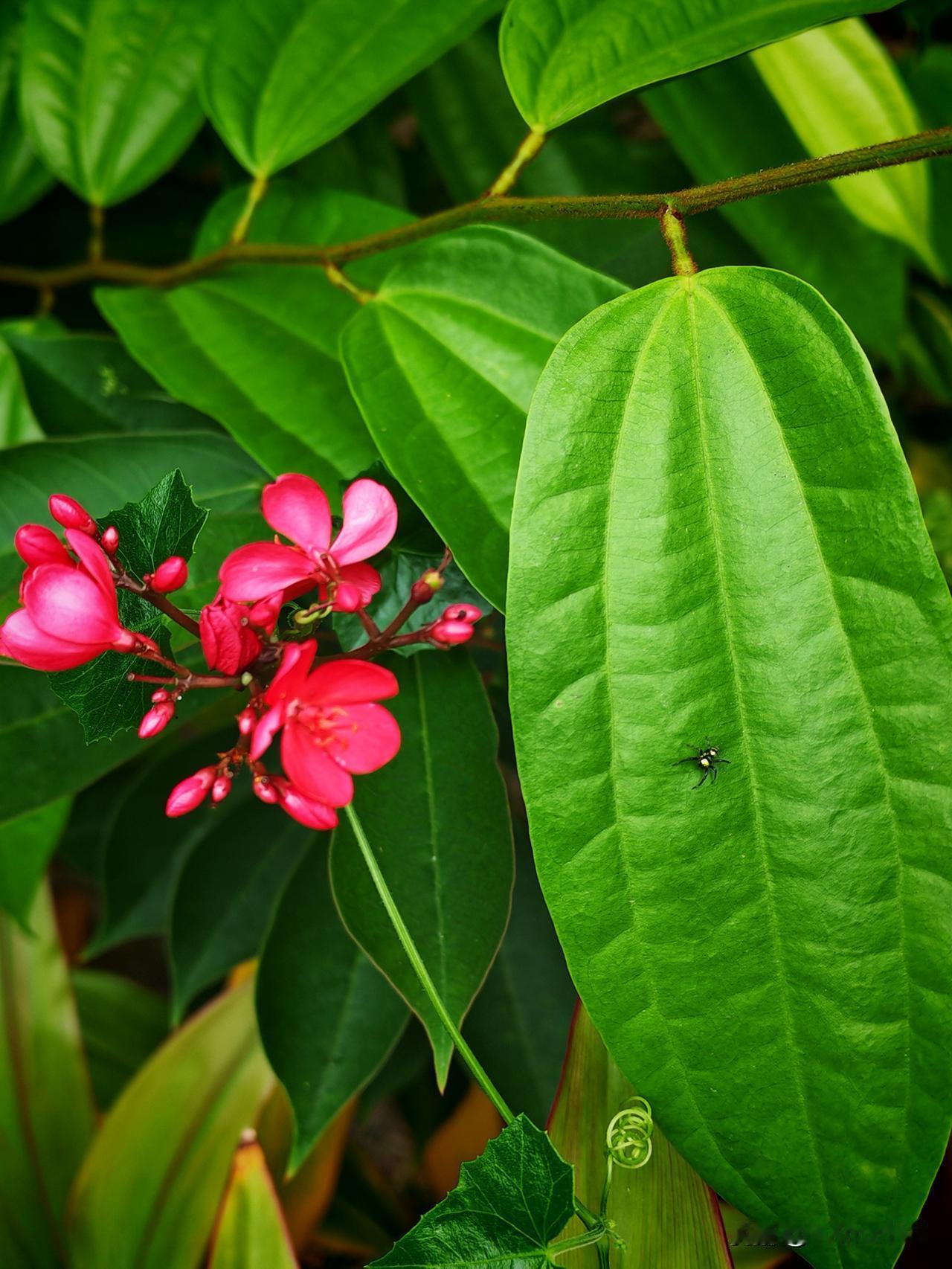 2026最扎心金句，看完瞬间不内耗了
 

 
昨晚到家，瘫在沙发上刷手机，本来