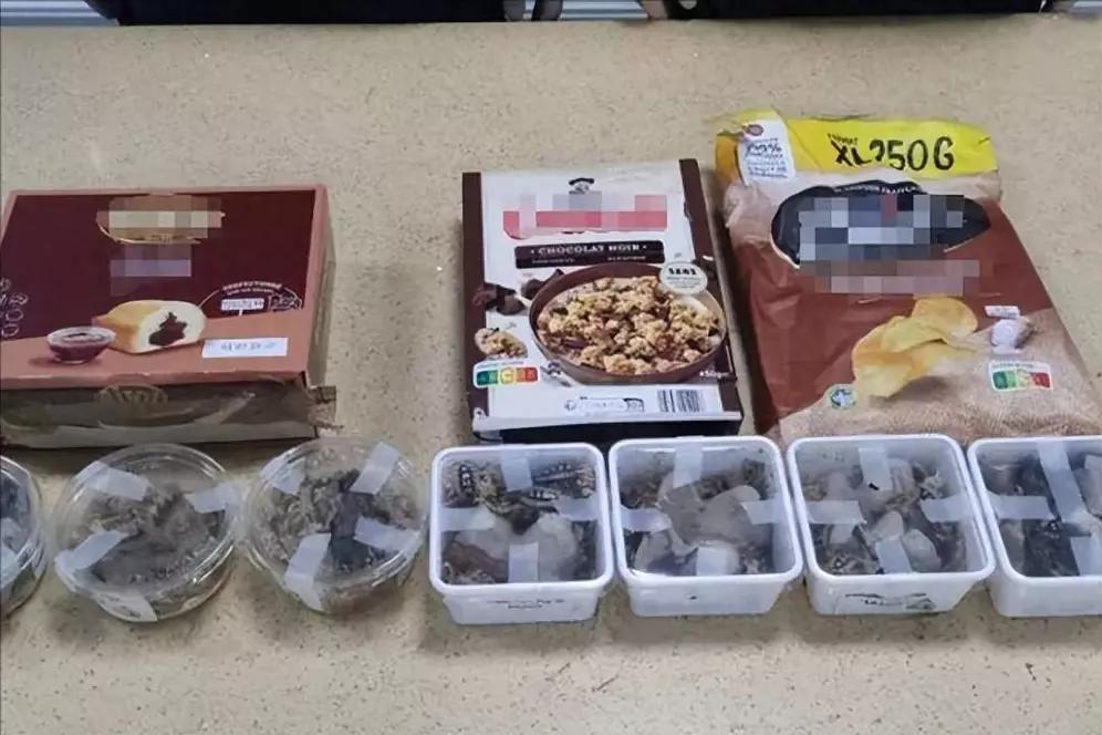 日本网友竟欢呼辐射糖果流入中国，什么“让中国人吃核废料变蠢”“打败中国指日可待”