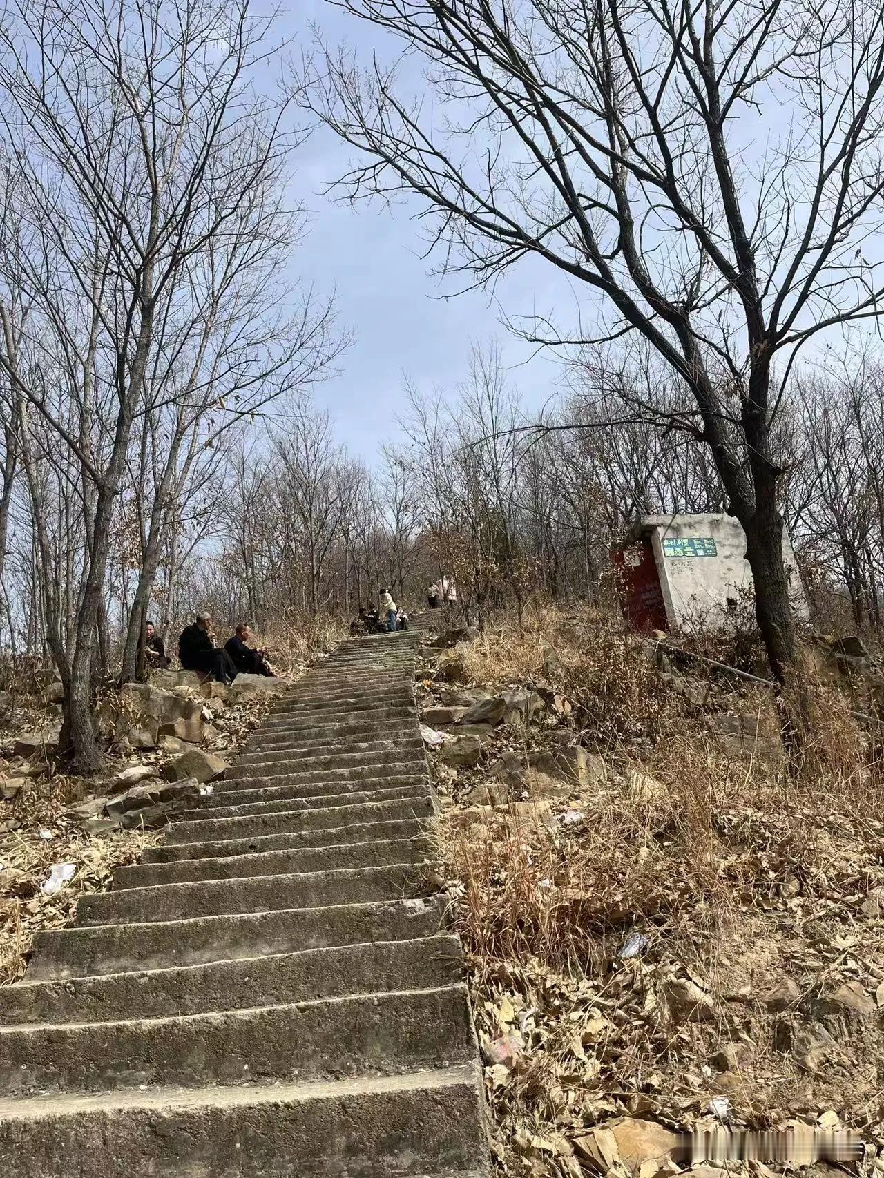 这山脚下的石阶，看着就挺有年头的，水泥面都磨得发乌，旁边的枯草和落叶堆得老高，透