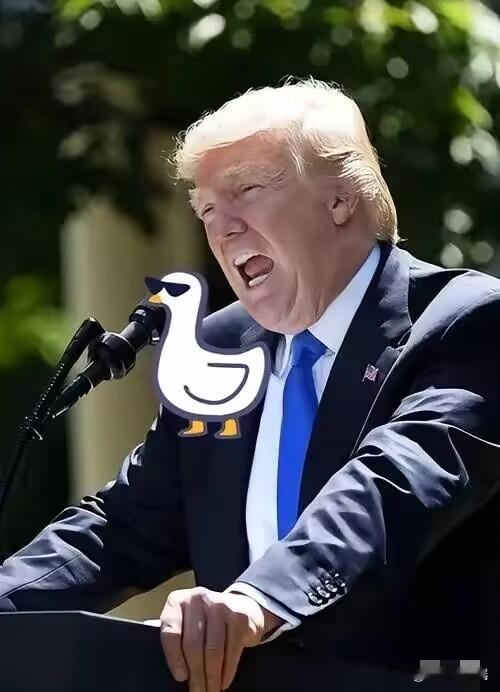 特朗普怒了！
4月27日电，特朗普又开口了，这回对准的不是中国，不是伊朗，而是北