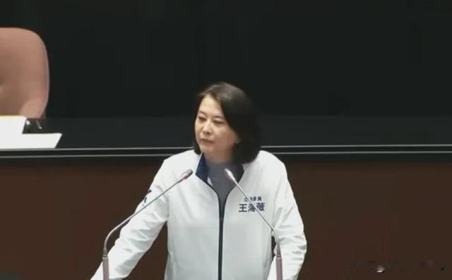 王鸿薇点破：赖清德若输台南，政治生命将提前终结
 
近日，国民党籍民意代表王鸿薇