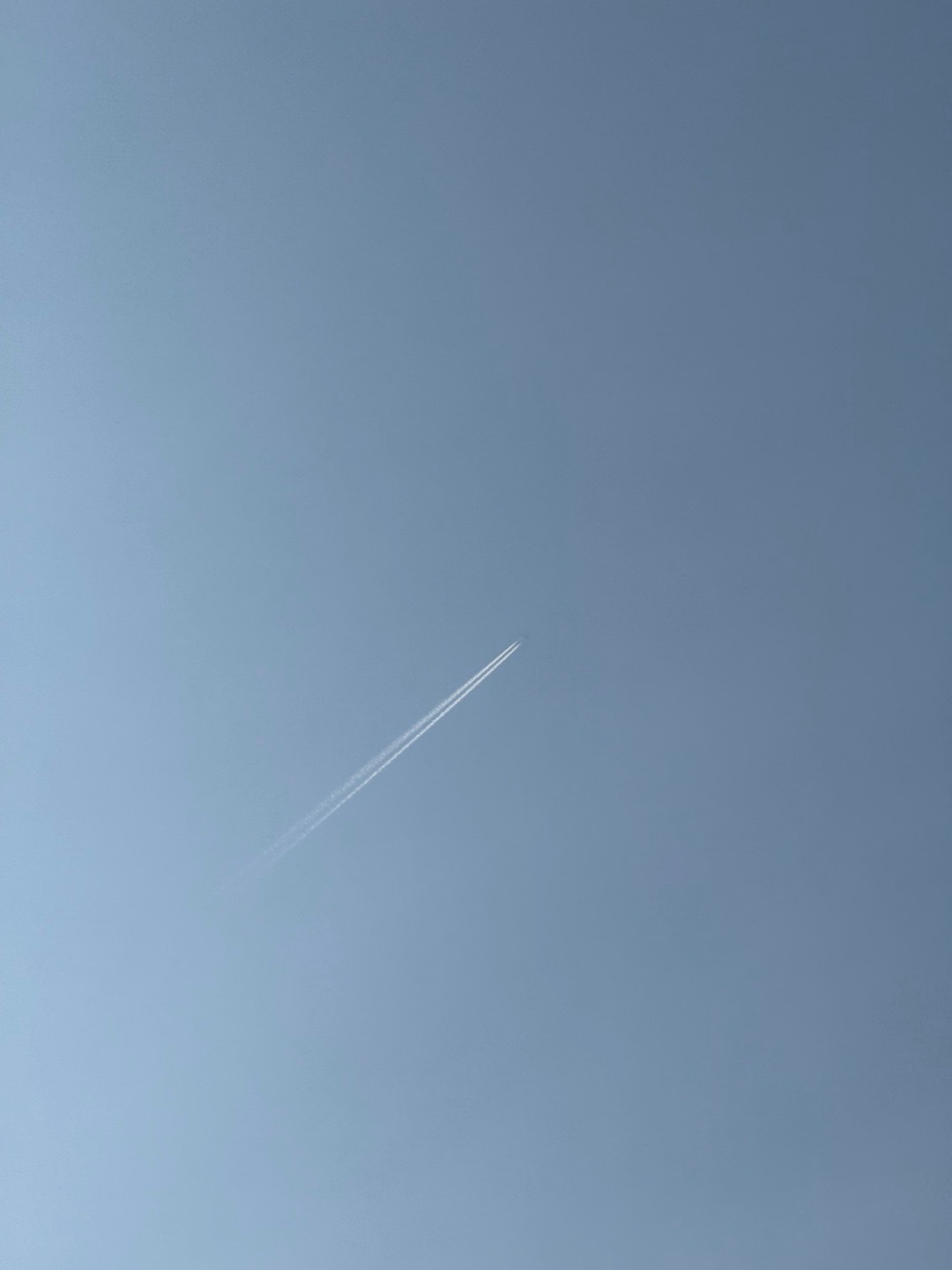 城市巡游记 在定陵看到天上飞的东西好快呀  ​​​