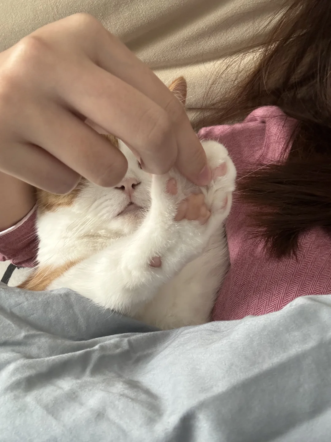 有没有人看得懂咪手相