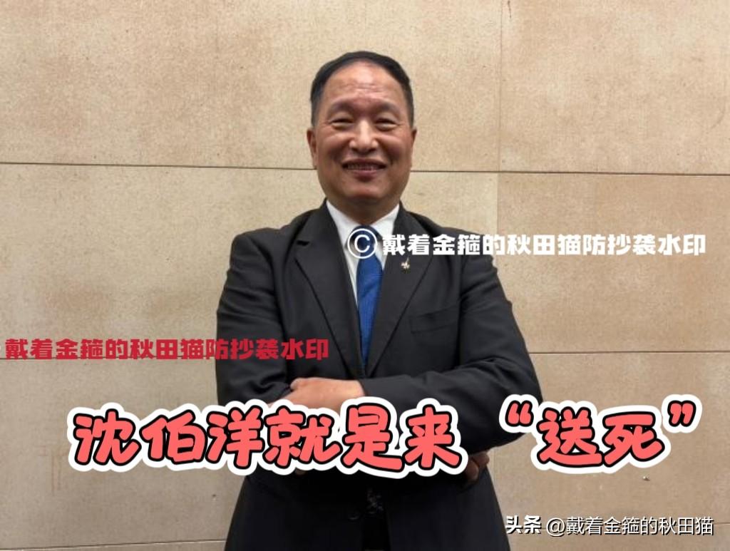 沈伯洋就是来送死的？
台退役将领张延挺：指出沈伯洋两大致命弱点，蒋万安两大明显优