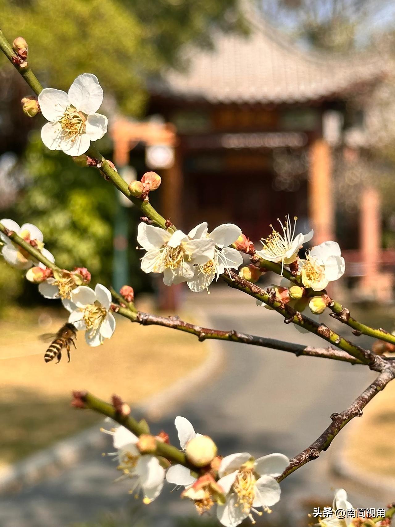 以下的征文已完成，不用再往下翻了，感谢大家的支持。[作揖][作揖]